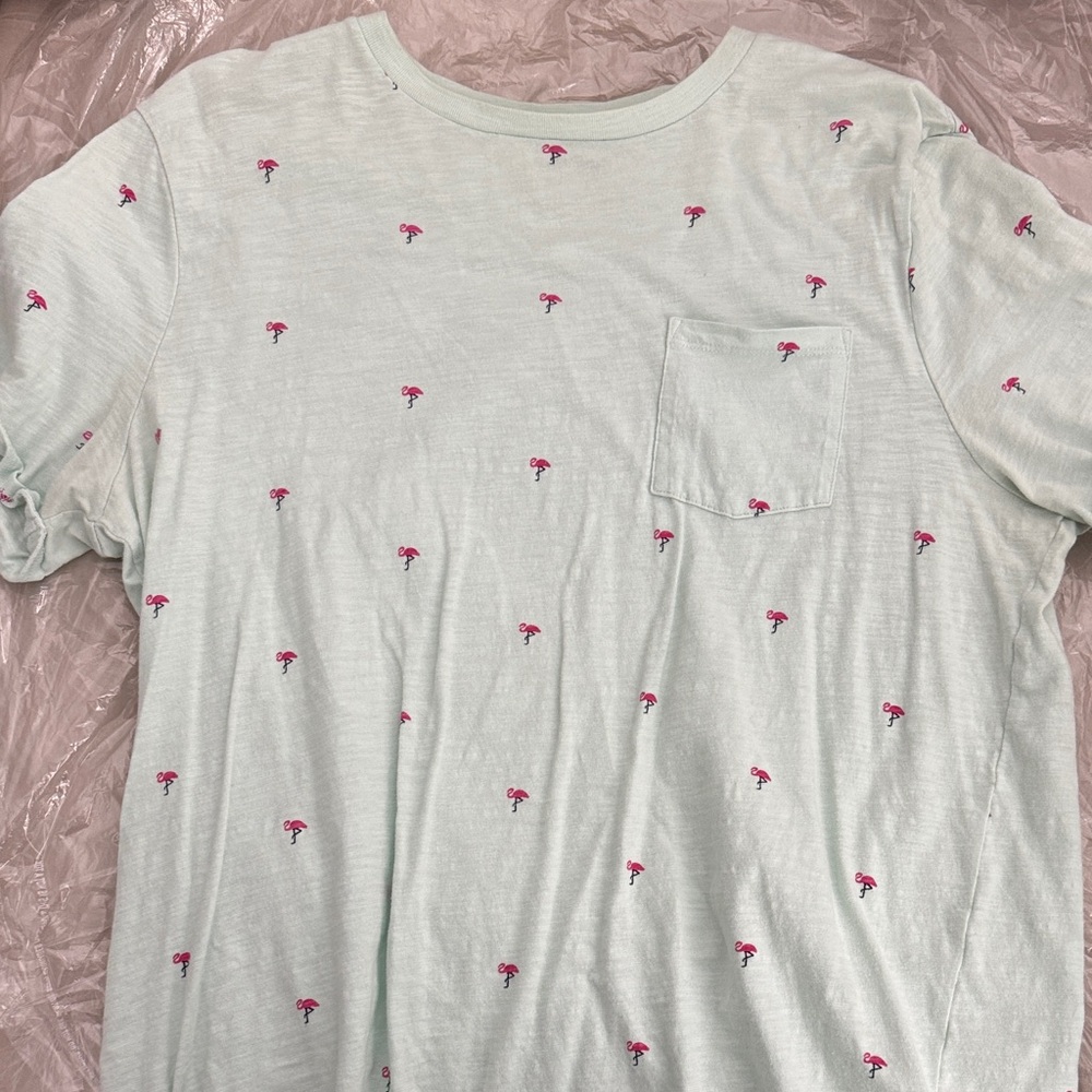 Express Light Green Tee with Pink Flamingos